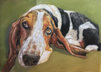 Basset -Hound 15x20 
Original $420
